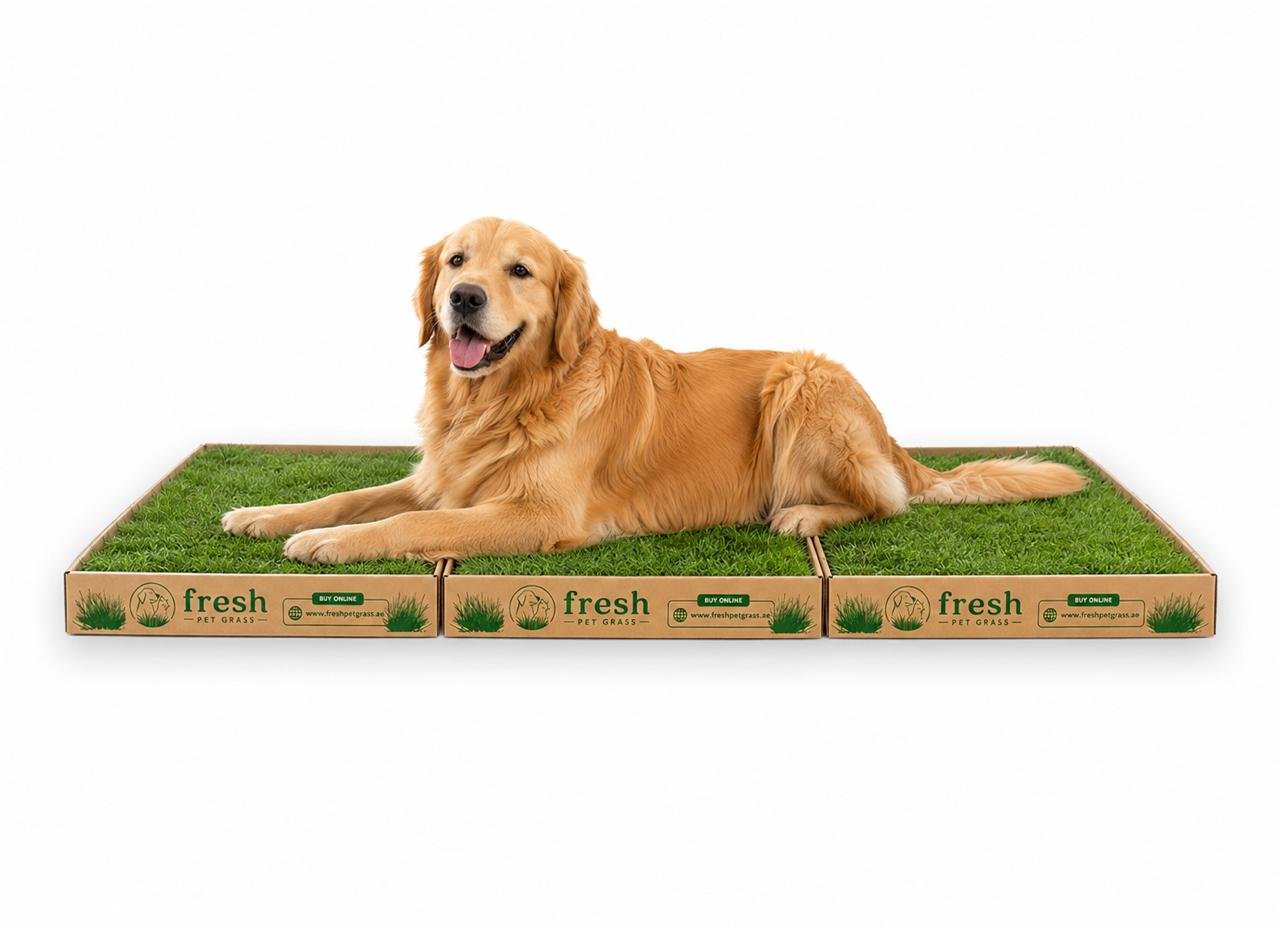 FPG 3 Grass Boxes | Large | 144 × 60 cm