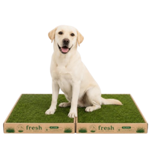 FPG 2 Grass Boxes | Medium | 96 × 60 cm