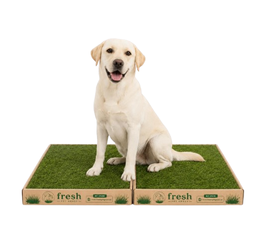 FPG 2 Grass Boxes | Medium | 96 × 60 cm