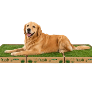 FPG 3 Grass Boxes | Large | 144 × 60 cm
