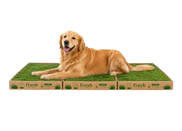 FPG 3 Grass Boxes | Large | 144 × 60 cm