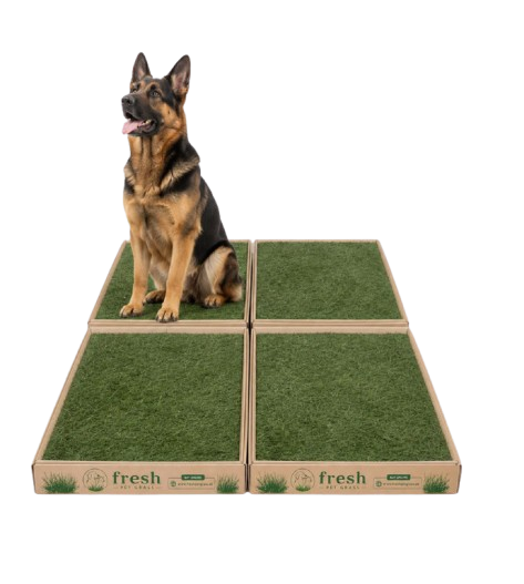 FPG 4 Grass Boxes | X-Large | 120 × 96 cm