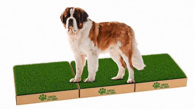 FPG 3 Grass Boxes | Large | 144 × 60 cm