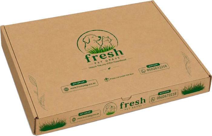 fresh one box