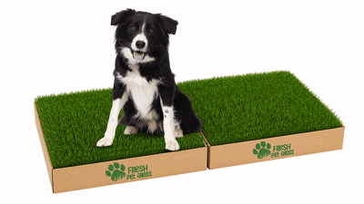 FPG 2 Grass Boxes | Medium | 96 × 60 cm